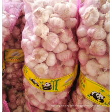 China fresh garlic supply 5.0-6.0, new season normal white garlic export